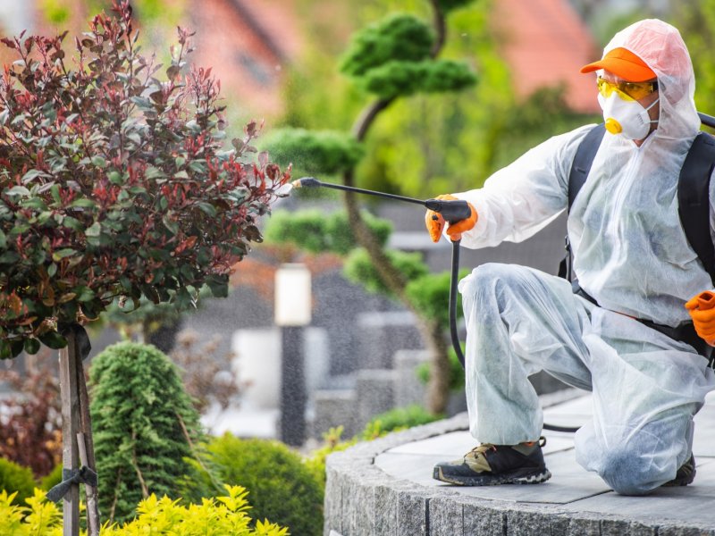 Pazar Haşere İlaçlama