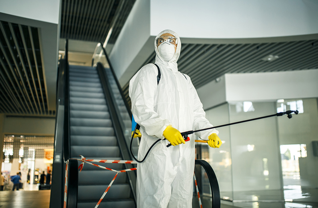 Pazar Haşere İlaçlama